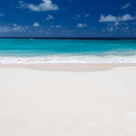 Luxury Miami Condos Miami Beach Zewnętrze zdjęcie